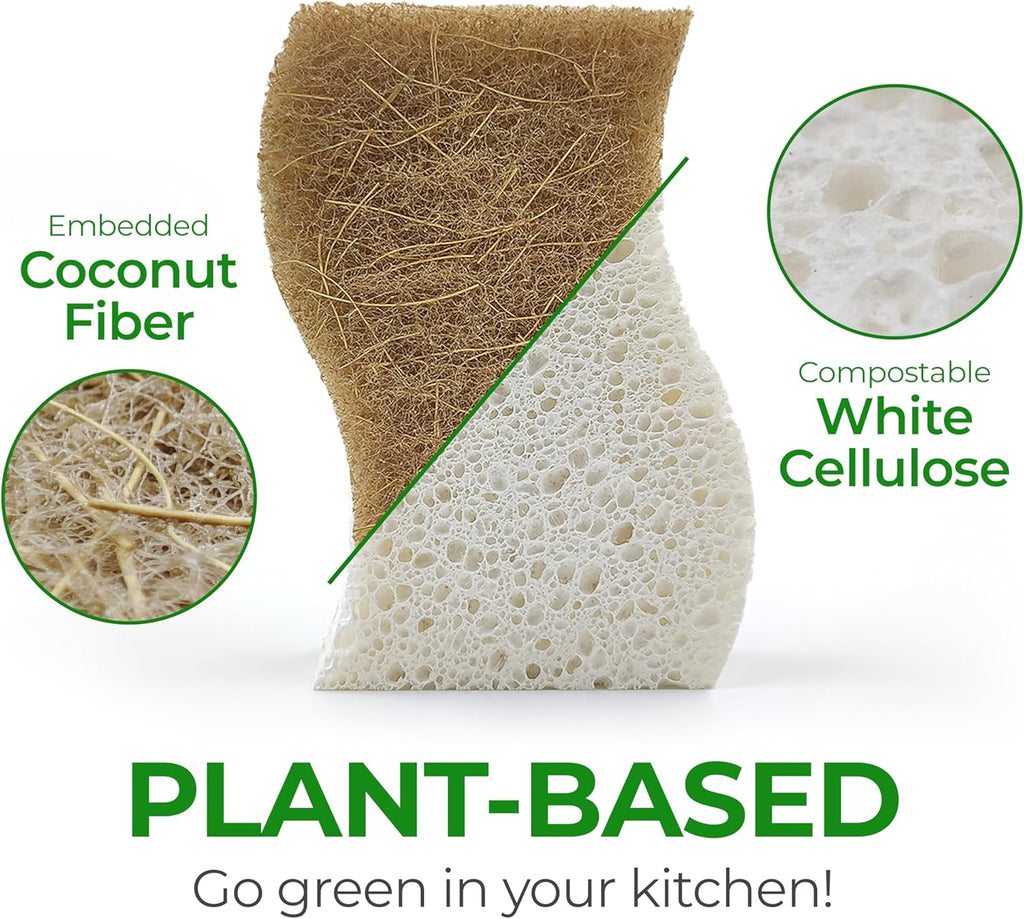 Biodegradable Natural Kitchen Sponge - Compostable Cellulose and Coconut Walnut Scrubber Sponge (12 Pack)